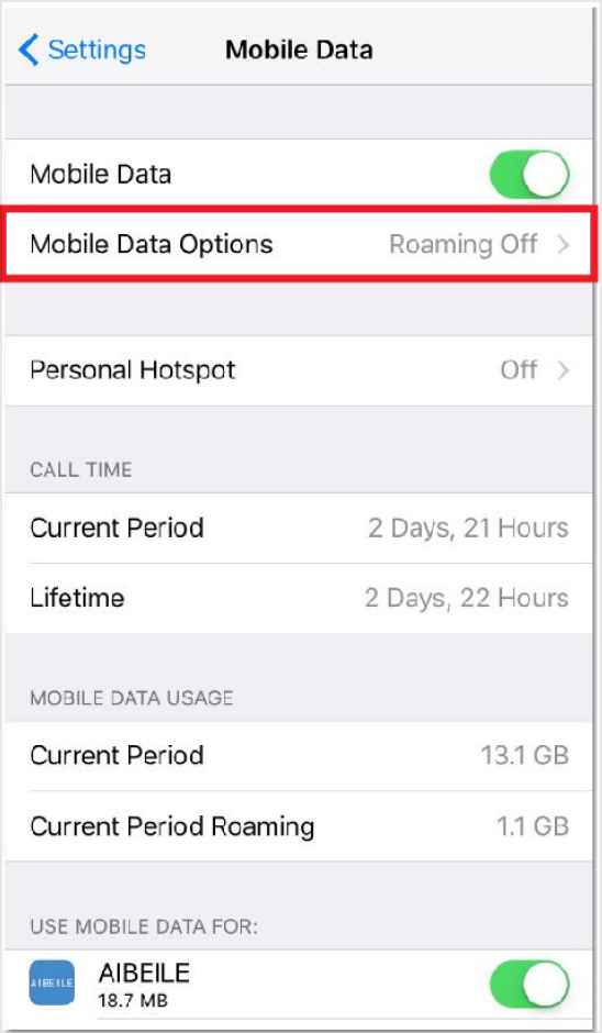 iOS APN Setting: 2. Select "Mobile Data Options"