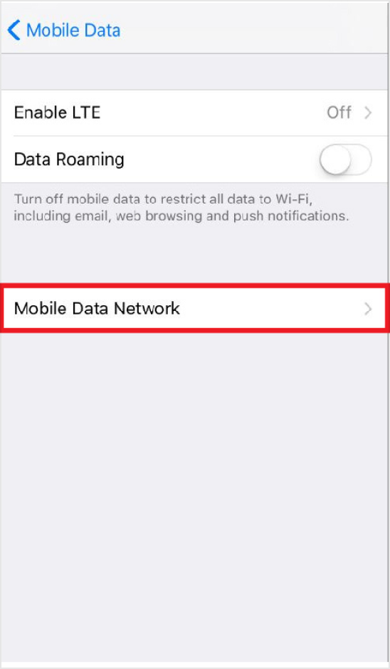 iOS APN Setting: 3. Select "Mobile Data Network"